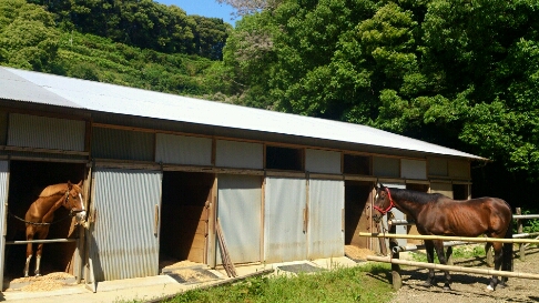b0187620_206576.jpg