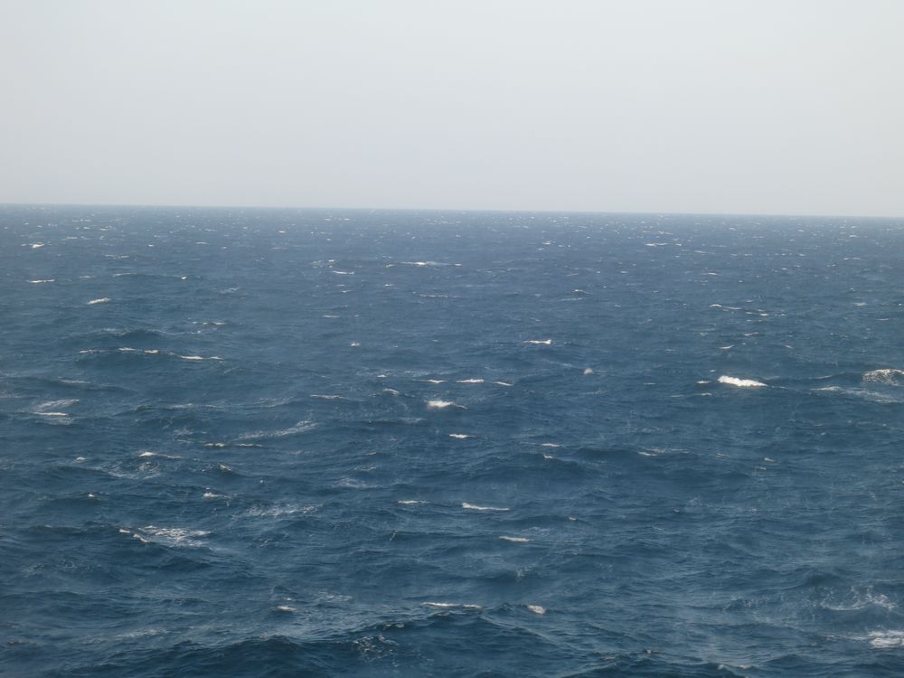 f0140720_2349412.jpg