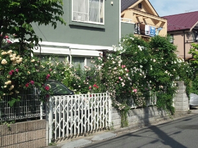 f0106823_7104829.jpg
