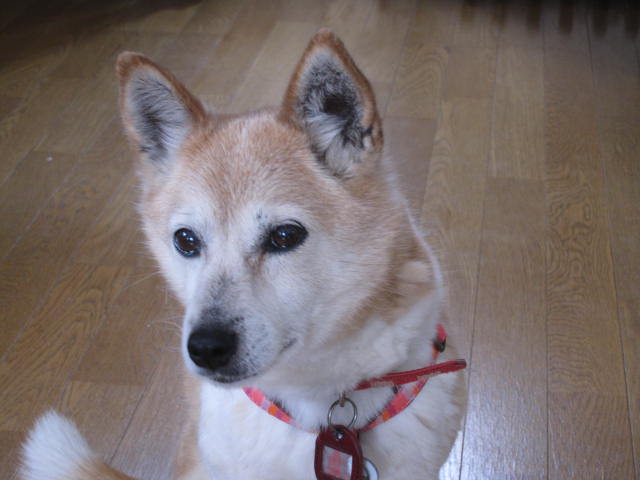 e0191826_23265875.jpg