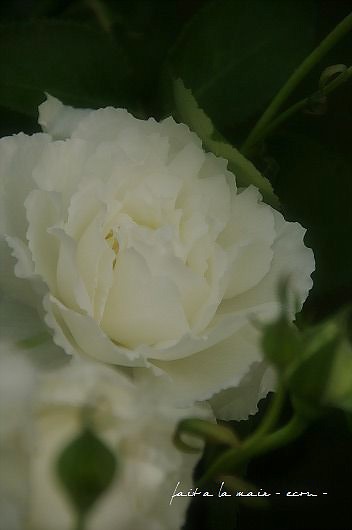 c0093830_16135094.jpg