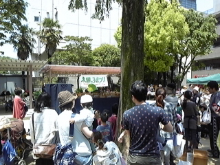 b0162031_1465149.jpg