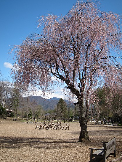 d0001533_2031837.jpg
