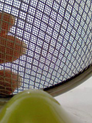 d0093433_15324735.jpg