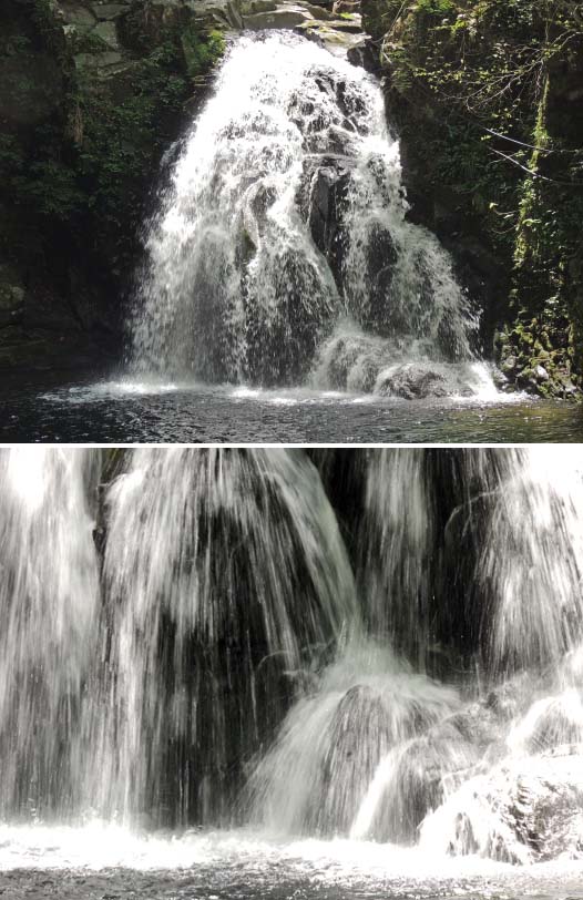 c0184737_6403162.jpg