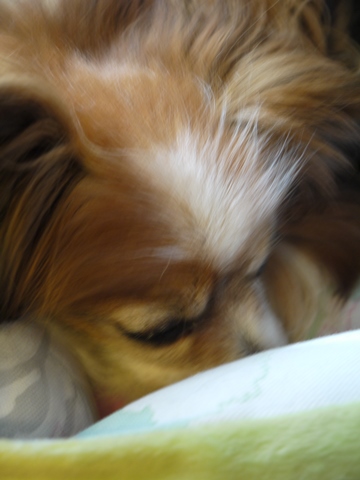 e0100046_2122579.jpg
