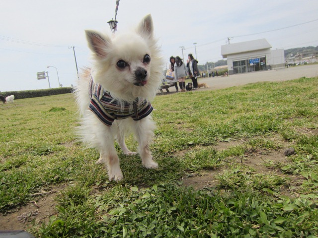 b0072650_16154047.jpg
