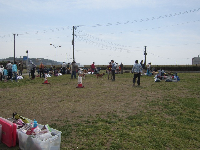 b0072650_1625128.jpg