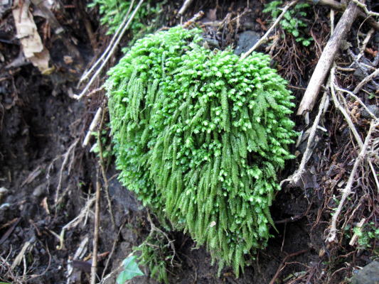 c0147952_0273055.jpg