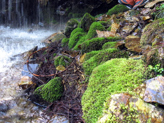 c0147952_0315760.jpg