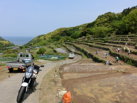 e0045768_2155182.jpg