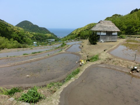 e0045768_2203167.jpg