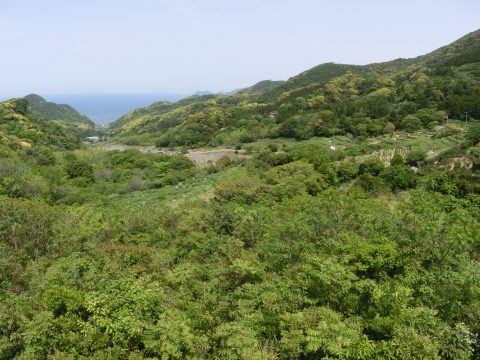 e0045768_2281630.jpg
