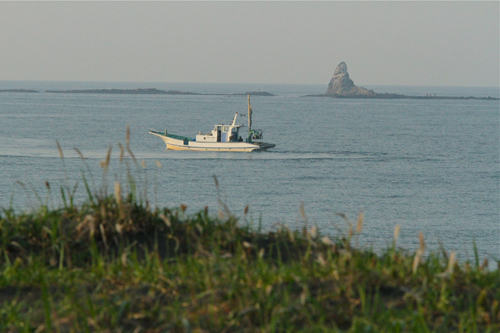 a0157069_7231996.jpg