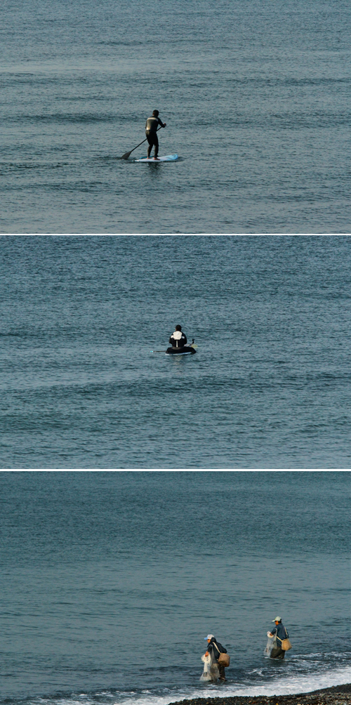 a0157069_7234343.jpg