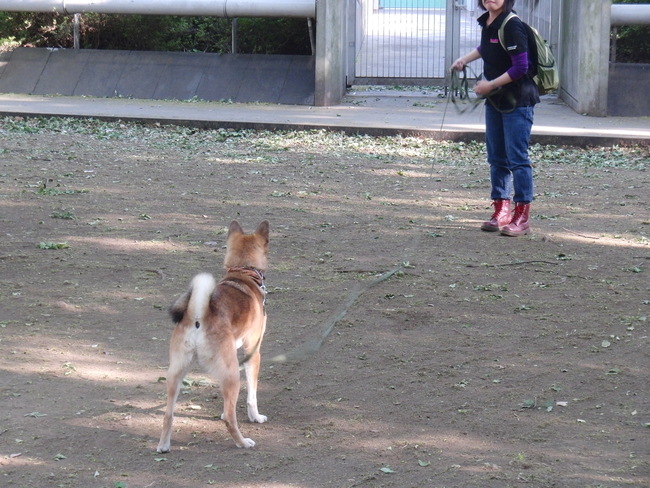 b0246876_095320.jpg