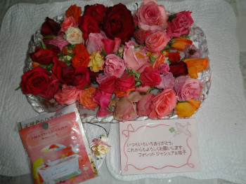 d0255078_85747100.jpg
