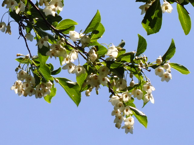 e0145782_1945791.jpg