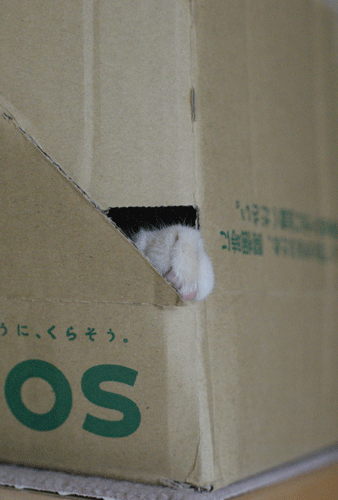 c0193788_10485998.gif
