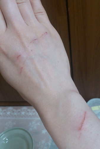 c0193788_10584680.gif