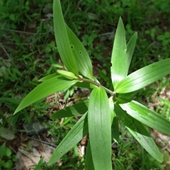 e0271890_11591175.jpg