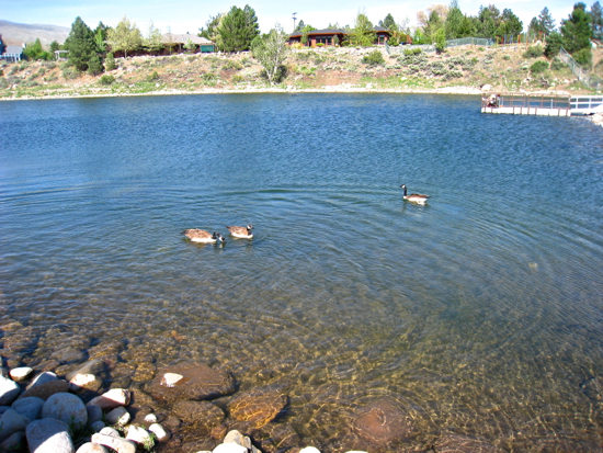e0326991_7352895.jpg