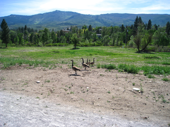 e0326991_735548.jpg