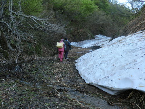 f0117892_10354879.jpg