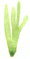 a0247194_17284350.gif