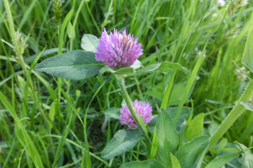 f0153998_0105727.jpg