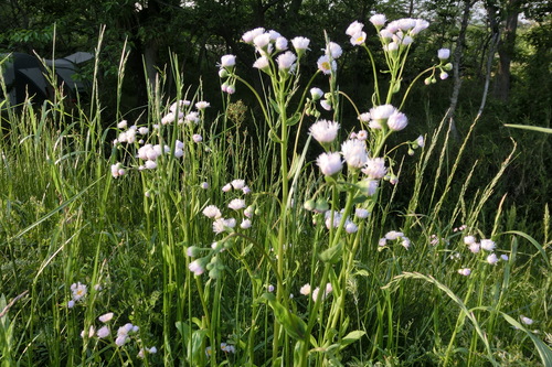 f0153998_0171277.jpg