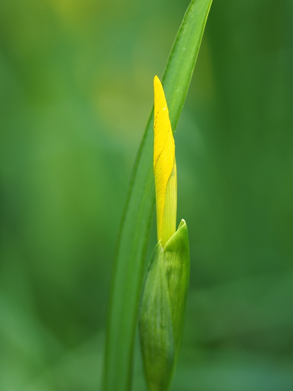 f0224100_62542.jpg