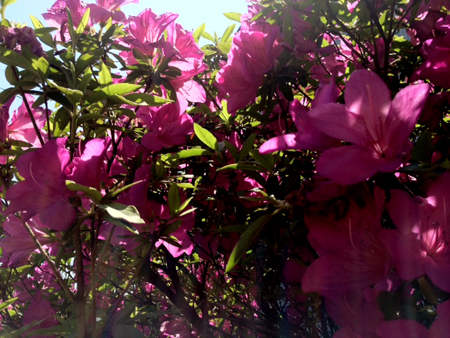 a0201204_10181914.jpg
