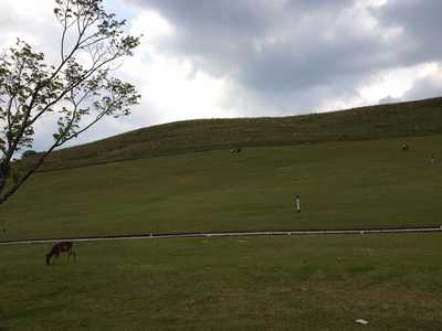 f0221708_2194872.jpg