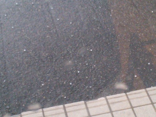 c0279611_20353038.jpg