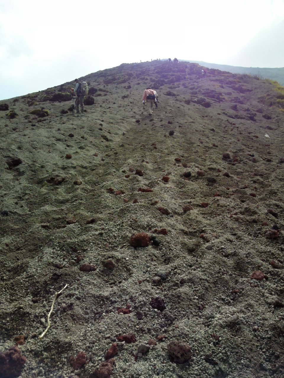 e0238313_753541.jpg