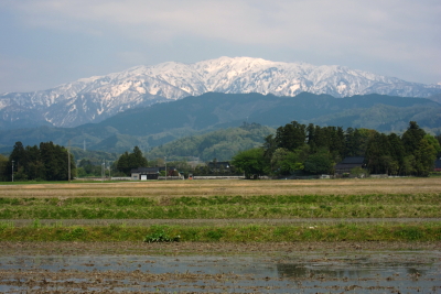 e0133025_20591379.jpg