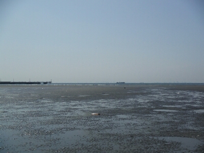 a0284729_22335122.jpg