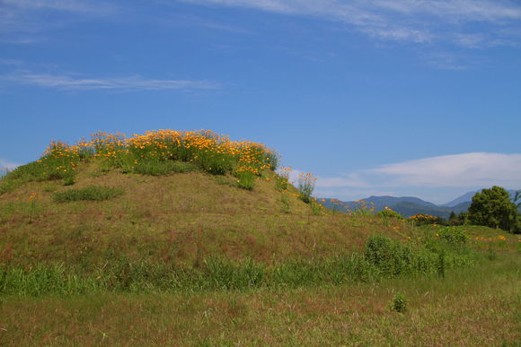 c0280729_14131589.jpg