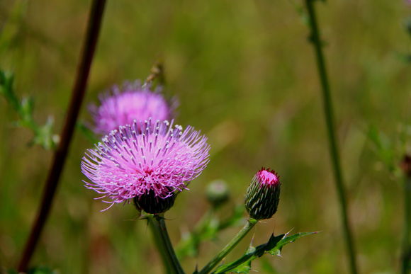 c0280729_14133860.jpg