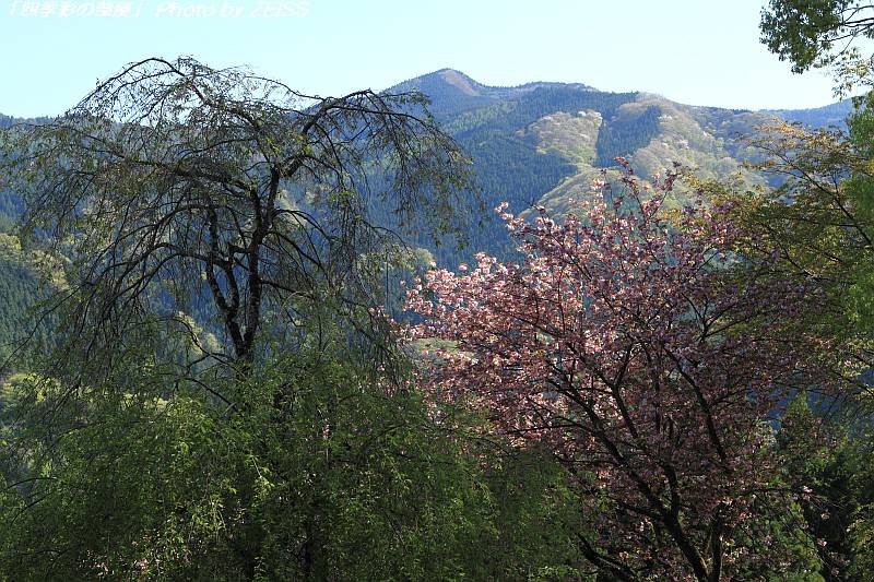 a0195032_200885.jpg