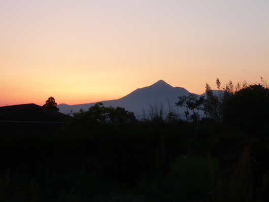 a0206332_8183051.jpg