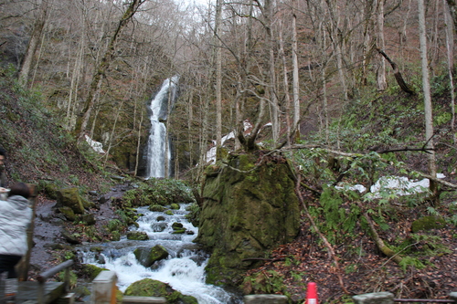 e0166032_213667.jpg