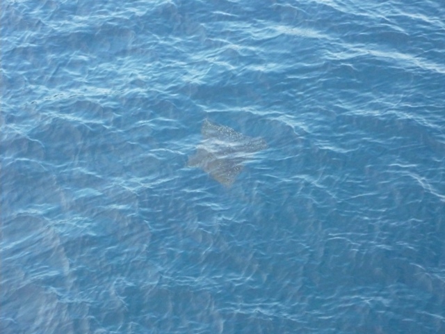 a0272033_13394138.jpg