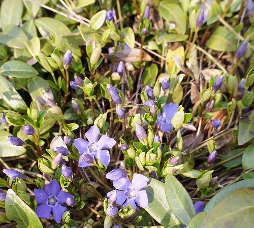 f0205733_0284217.jpg