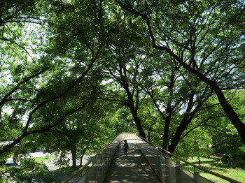 e0269946_2044216.jpg