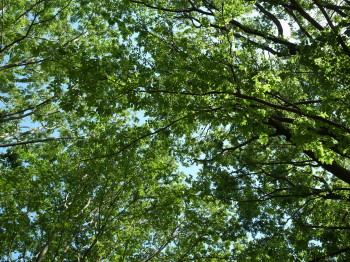 e0269946_2064145.jpg