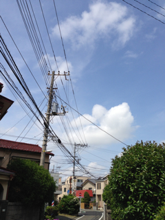 f0179947_1404767.jpg