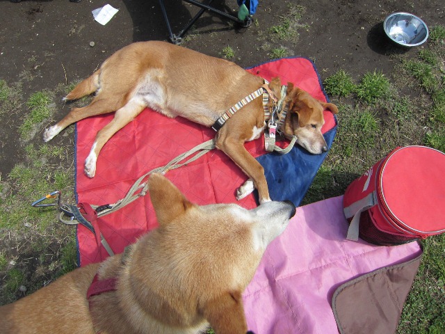 b0072650_1214385.jpg