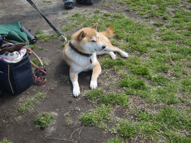 b0072650_12145886.jpg